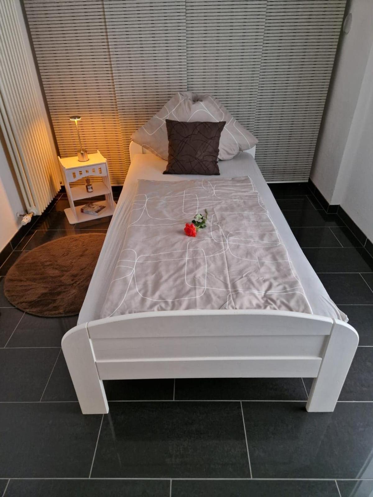 Zentrales City-apartment Mit Garage Und Arbeitsplatz Geeignet Fuer Business Und Familie Apartment *
